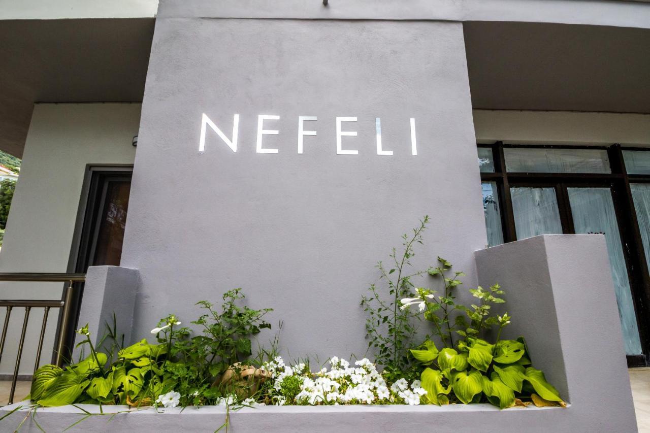 Nefeli Appartement Vasilikí Buitenkant foto